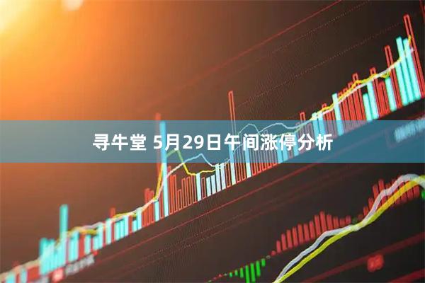 寻牛堂 5月29日午间涨停分析