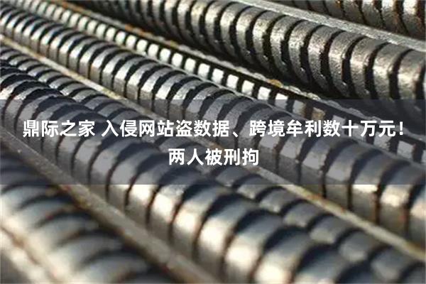 鼎际之家 入侵网站盗数据、跨境牟利数十万元！两人被刑拘