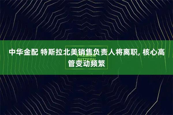 中华金配 特斯拉北美销售负责人将离职, 核心高管变动频繁