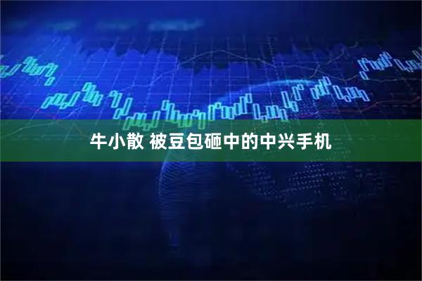 牛小散 被豆包砸中的中兴手机