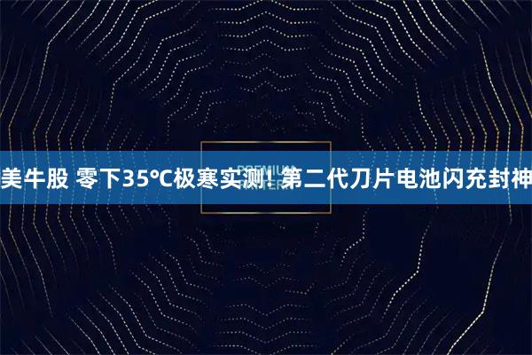 美牛股 零下35℃极寒实测! 第二代刀片电池闪充封神